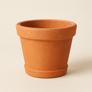 Maceta de barro clásica